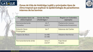Zonas deVida de Holdridge (1966) y principales tipos de
clima tropical que explican la epidemiología de parasitismos
internos de los bovinos
Principales tipos de
clima tropical
Zonas de Vida
(Holdridge) 
Región en Colombia
(ejemplo)
Permanentemente
Húmedos
bh-T
bmh-T
Piedemonte Llanero
Piedemonte Amazónico
Estación Seca
Prolongada
bs-T Sabanas del Caribe
Trópico de Altura bs-MB
bh-MB
Altiplano Nariñense
Permanentemente árido bms-T
md-ST
Faja litoral
Guajira
(Benavides,2017©)
 