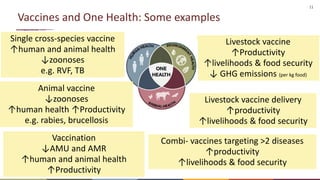 The value of vaccines in One Health | PPTX