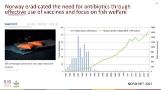 The value of vaccines in One Health | PPTX