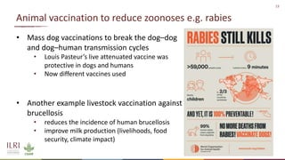 The value of vaccines in One Health