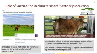 The value of vaccines in One Health