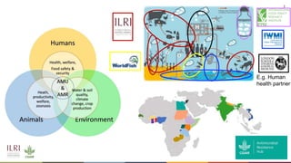 The value of vaccines in One Health