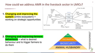4
How could we address AMR in the livestock sector in LMICs?
1. Changing and improving the
system (entire ecosystem) =
wor...