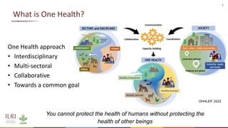 The value of vaccines in One Health