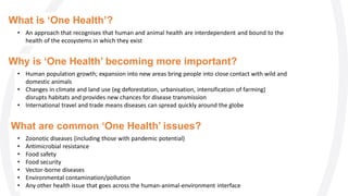 One Health and AMR | PDF