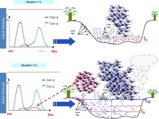 r
h
Culex
eggs
Aedes
eggs
t0Jan Dec
t20
h
Aedes
eggs
r
Culex
eggs
t0
Jan Dec
AdultDensityAdultDensity
 