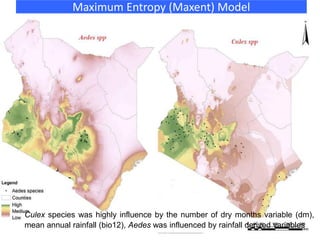 Maximum Entropy (Maxent) Model
Culex species was highly influence by the number of dry months variable (dm),
mean annual rainfall (bio12), Aedes was influenced by rainfall derived variables
 