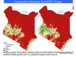 Comparative Random Forest(RF) Output
Aedes is highly influence by moisture index of moist quarter (mimq)
rainfall of driest quarter (bio 17), rainfall of wettest month (bio13).
 