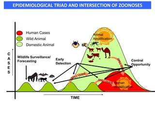 Human Cases
Wild Animal
Domestic Animal
C
A
S
E
S
TIME
Animal
Amplification
Human
Amplification
Wildlife Surveillance/
Forecasting
Early
Detection
Control
Opportunity
EPIDEMIOLOGICAL TRIAD AND INTERSECTION OF ZOONOSES
 