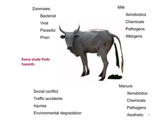 Zoonoses:

Milk

Bacterial

Xenobiotics

Viral

Chemicals

Parasitic

Pathogens

Prion

Allergens

Every study finds
hazards

Manure
Social conflict

Xenobiotics

Traffic accidents

Chemicals

Injuries

Pathogens

Environmental degradation

Aesthetic

21

 