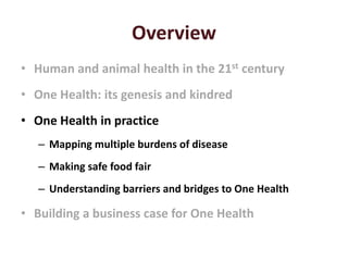 One Health approaches: Genesis, implementation and best practices