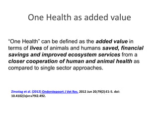 One Health approaches: Genesis, implementation and best practices