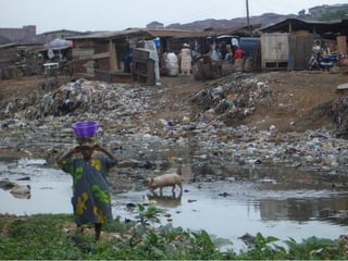 One Health approaches: Genesis, implementation and best practices