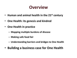 One Health approaches: Genesis, implementation and best practices