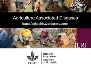 One Health approaches: Genesis, implementation and best practices