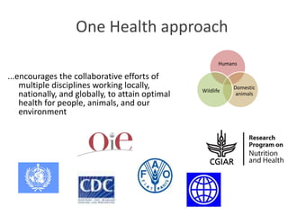 One Health approaches: Genesis, implementation and best practices