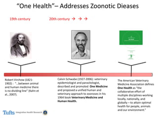 One Health approaches: Genesis, implementation and best practices