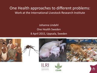 One Health approaches to different problems:
Work at the International Livestock Research Institute
Johanna Lindahl
One Health Sweden
8 April 2015, Uppsala, Sweden
1
 