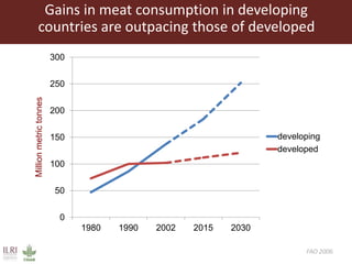 One Health approaches to different problems: Work at the International Livestock Research Institute