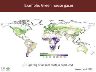 One Health approaches to different problems: Work at the International Livestock Research Institute