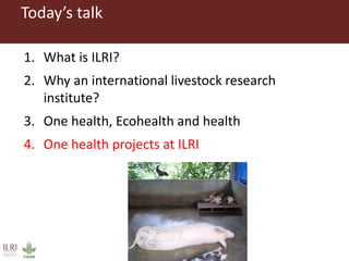 One Health approaches to different problems: Work at the International Livestock Research Institute