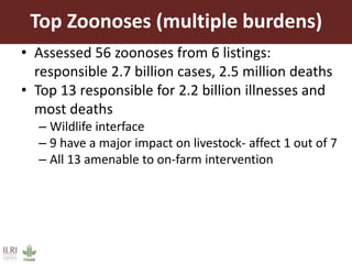 One Health approaches to different problems: Work at the International Livestock Research Institute