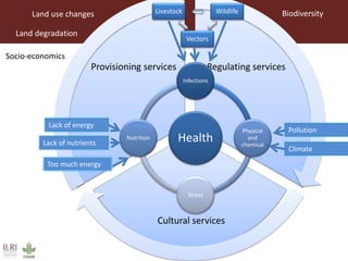 One Health approaches to different problems: Work at the International Livestock Research Institute