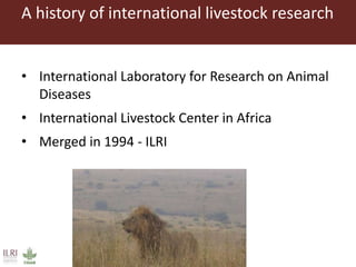 One Health approaches to different problems: Work at the International Livestock Research Institute