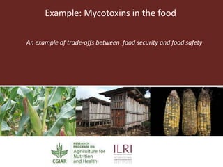 One Health approaches to different problems: Work at the International Livestock Research Institute