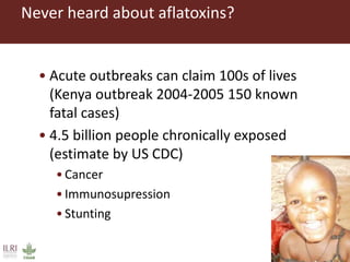 One Health approaches to different problems: Work at the International Livestock Research Institute