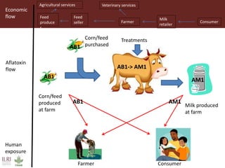 One Health approaches to different problems: Work at the International Livestock Research Institute