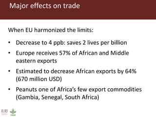 One Health approaches to different problems: Work at the International Livestock Research Institute