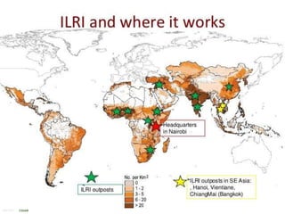 One Health approaches to different problems: Work at the International Livestock Research Institute