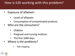 One Health approaches to different problems: Work at the International Livestock Research Institute