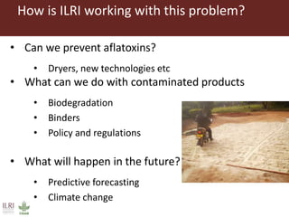 One Health approaches to different problems: Work at the International Livestock Research Institute