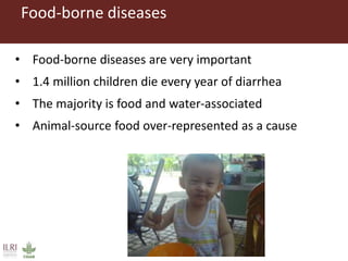 One Health approaches to different problems: Work at the International Livestock Research Institute
