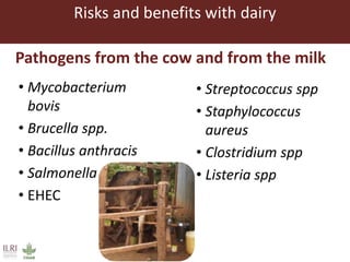 One Health approaches to different problems: Work at the International Livestock Research Institute