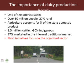 One Health approaches to different problems: Work at the International Livestock Research Institute