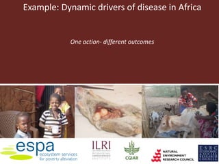 One Health approaches to different problems: Work at the International Livestock Research Institute