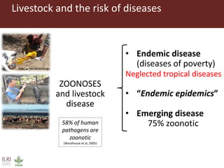 One Health approaches to different problems: Work at the International Livestock Research Institute