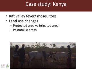 One Health approaches to different problems: Work at the International Livestock Research Institute