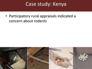 One Health approaches to different problems: Work at the International Livestock Research Institute