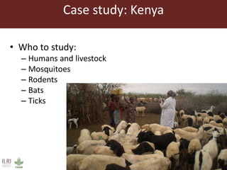 One Health approaches to different problems: Work at the International Livestock Research Institute