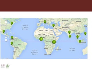 One Health approaches to different problems: Work at the International Livestock Research Institute