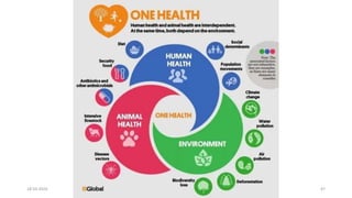 One health approach in Public Health.pptx
