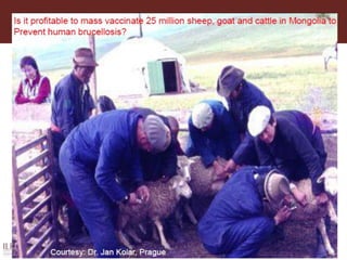 One Health: Concept and applications