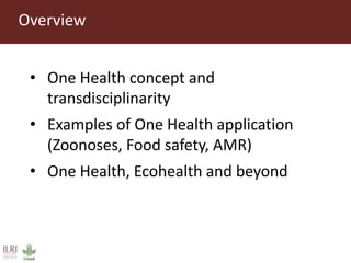 One Health: Concept and applications