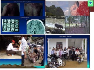 One Health: Concept and applications