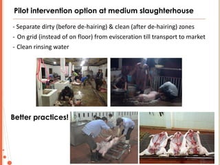 One Health: Concept and applications