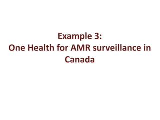 One Health: Concept and applications